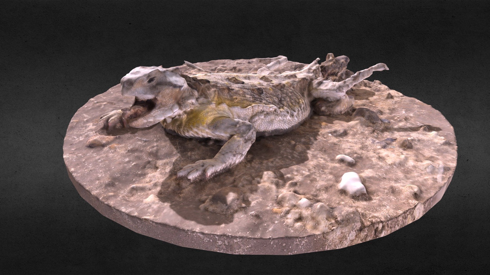 Horned Lizard - 3D Model By DocCopemys [745862b] - Sketchfab