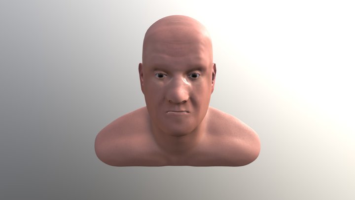 Ian Headsculpt 3D Model