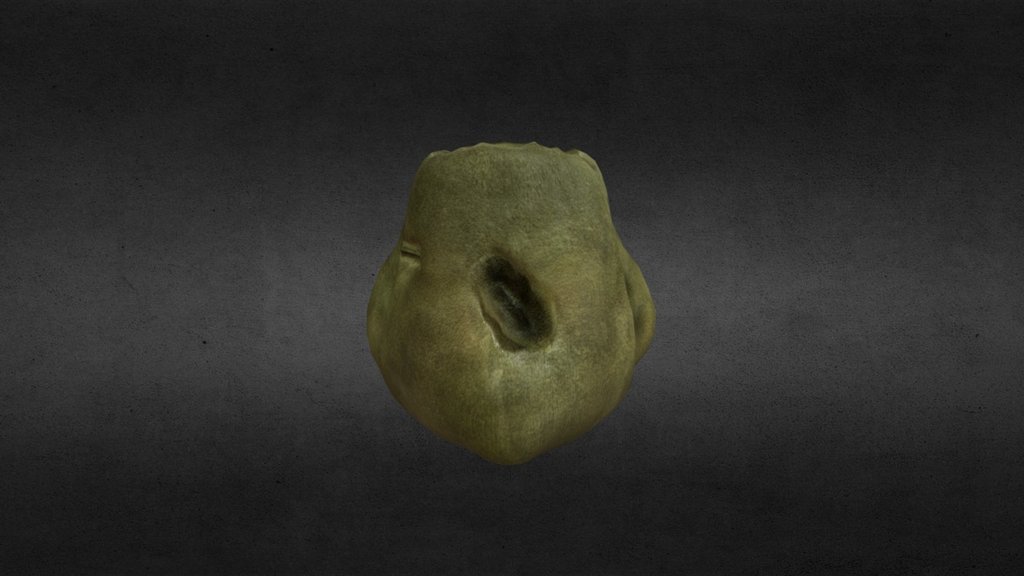 Moss Rock  Download Free 3D model by cyansprite 