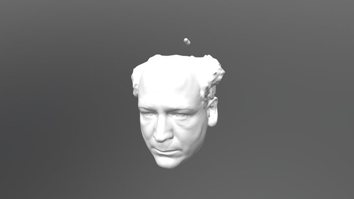 Head 02 Smooth 3D Model