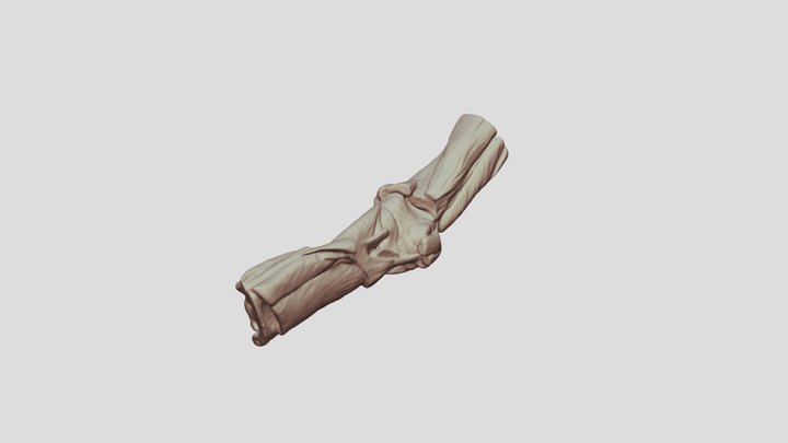 Elbow 3D models - Sketchfab