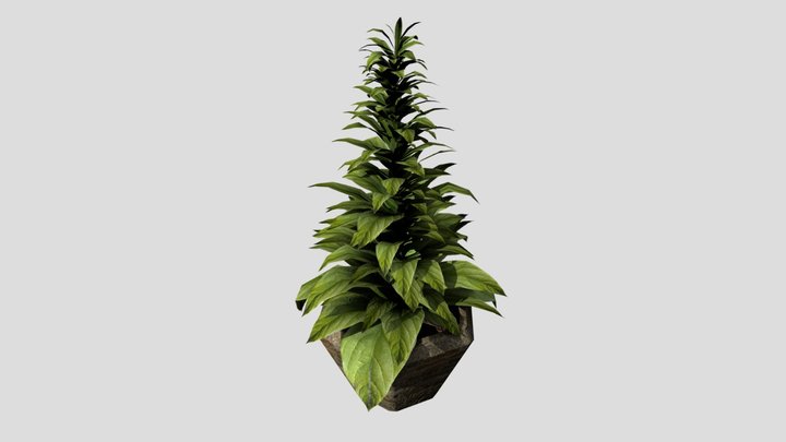 Plant Game Asset 3D Model