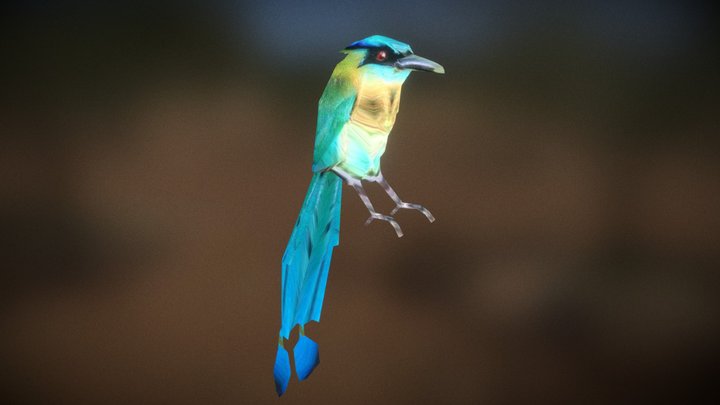 Barranquero 3D Model