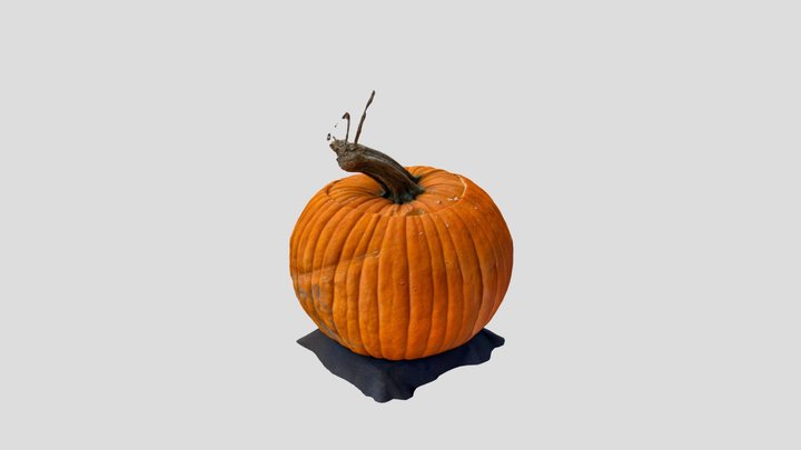 Pumpkin2023 3D Model