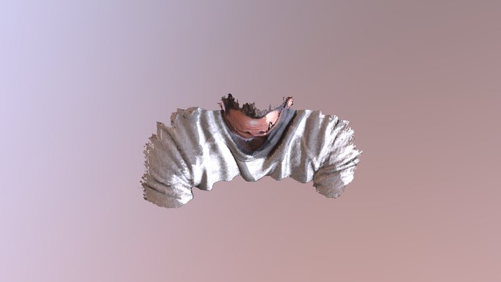 Matt 3D Model