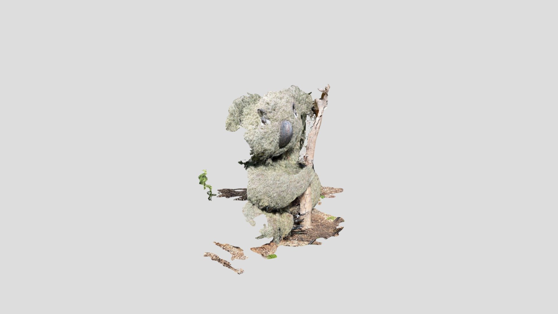 3 Feb, 15:55-poly
