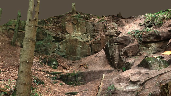 Sandstone Outcrop Hörschbachtal (GER) 3D Model