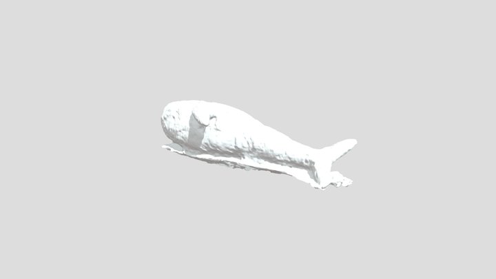 Blahaj 3D Model
