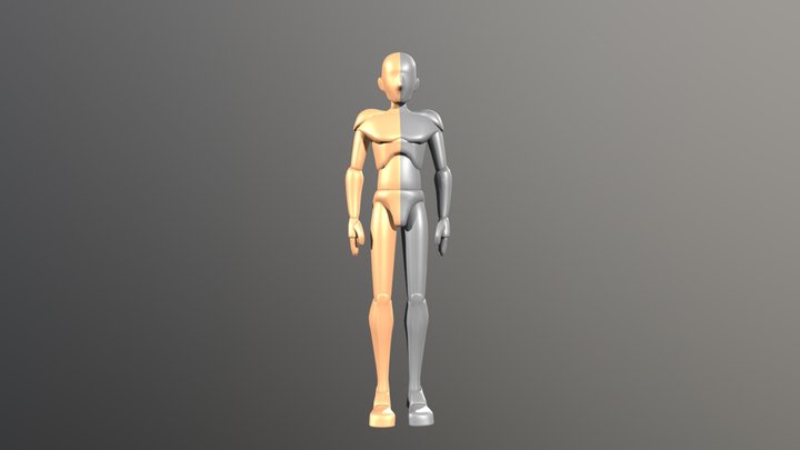 Male - IK Rigging Doll 3D Model