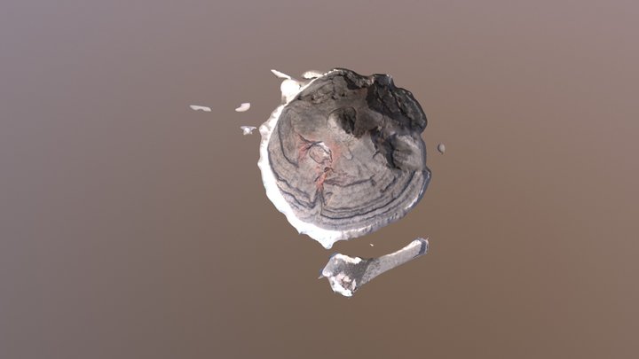 Tungurahua Crater 2016-10-08 3D Model