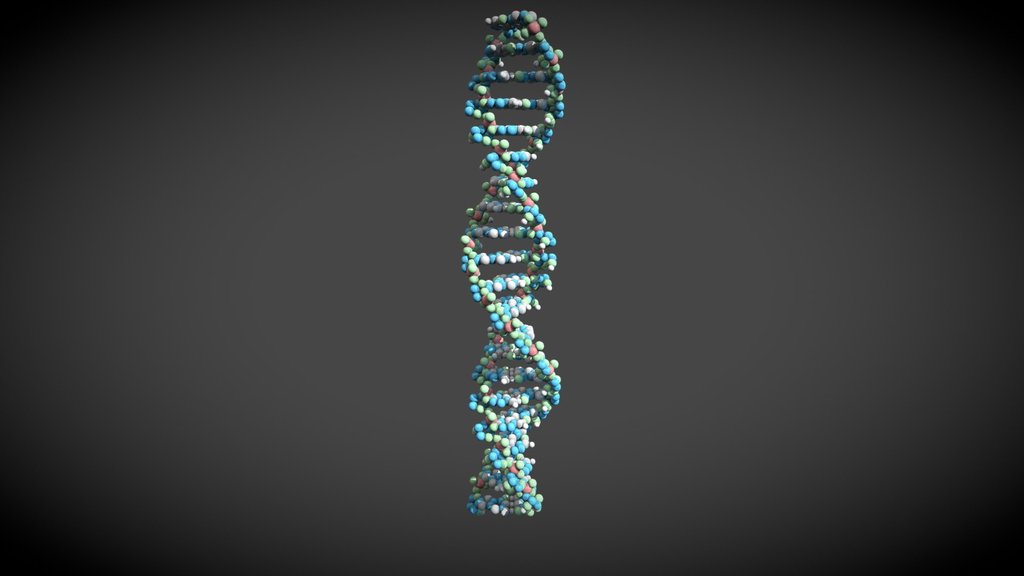 Human DNA