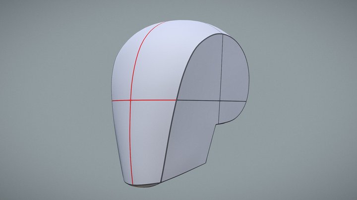Head Drawing Foundation 3D Model