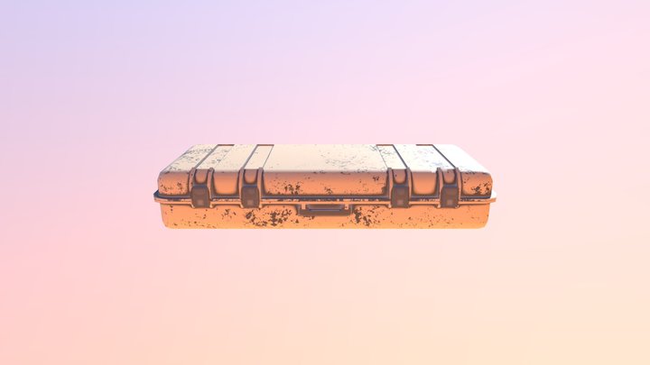 Weapons_Case 3D Model