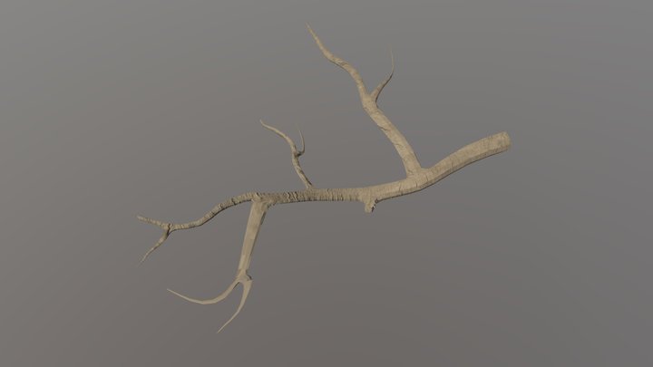 Twig 3D Model