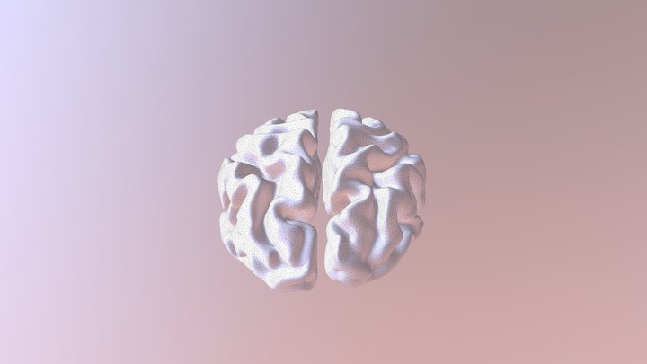 Raw Brain MRI Model for Connectome Illuminator 3D Model