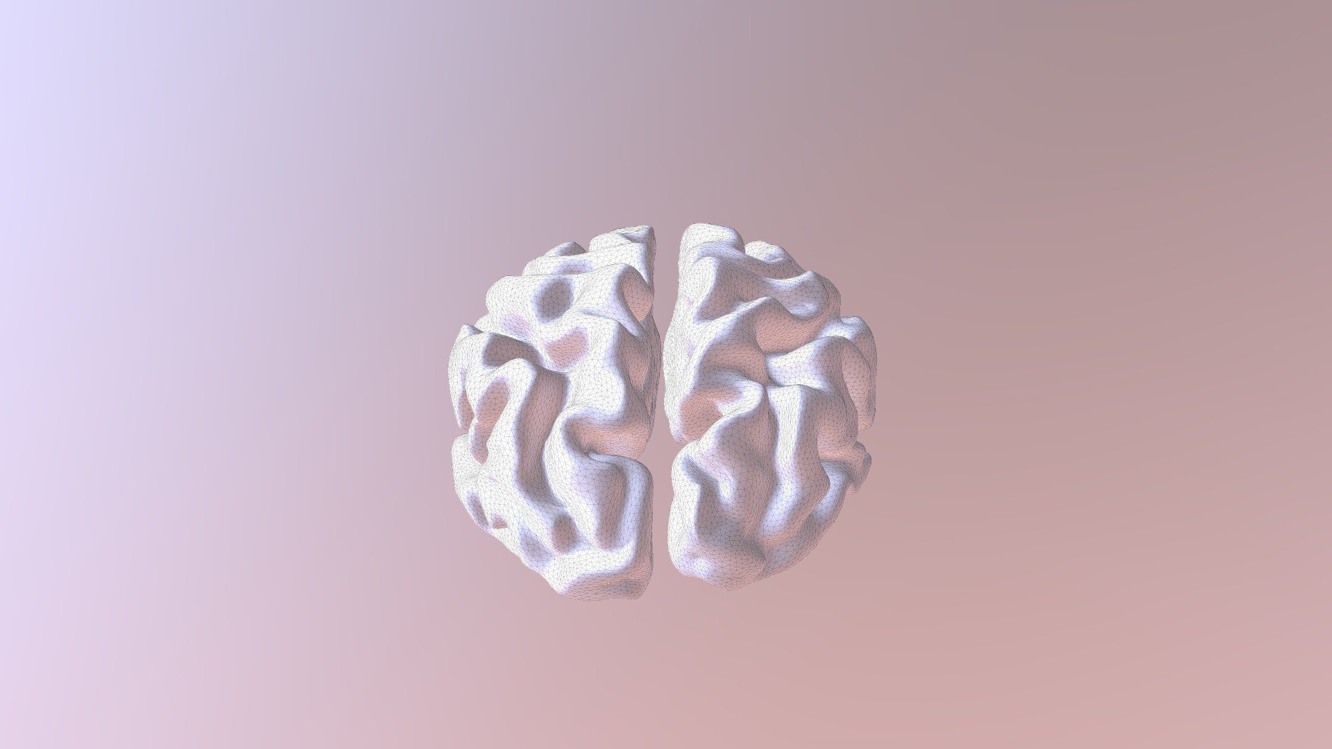 Raw Brain MRI Model for Connectome Illuminator