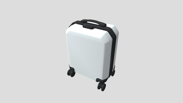 Small White Luggage