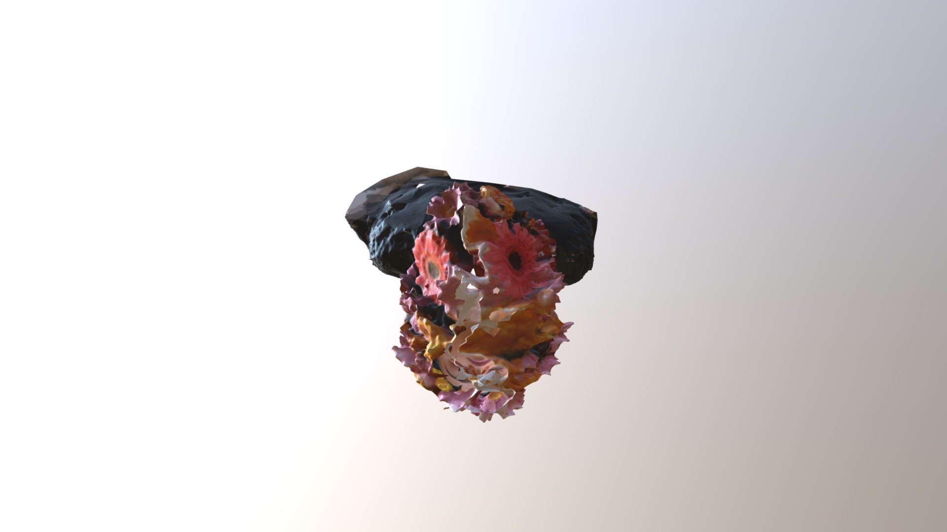 Sujeto