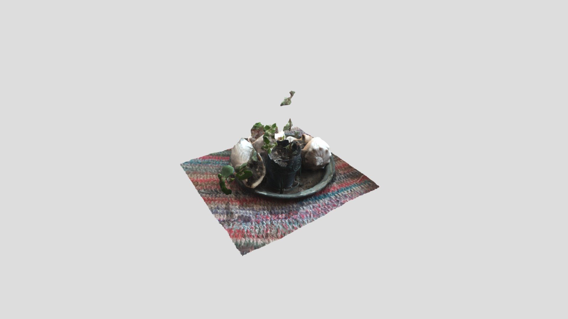 Plantas
