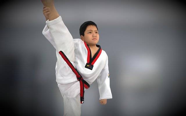 Vnace Taekwondo Final (Updated) 3D Model