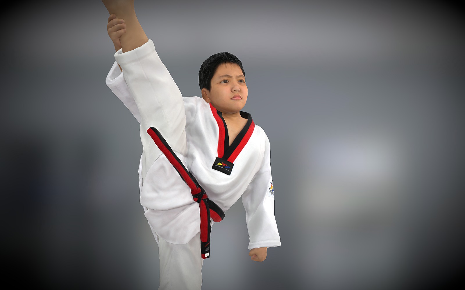 Vnace Taekwondo Final (Updated)