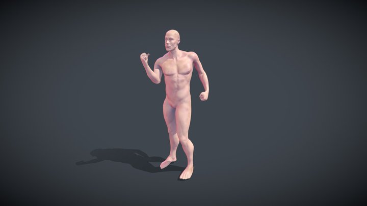 Anatomy Study 3D Model