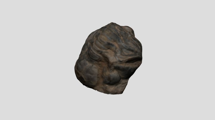 Trilobite 3D Model