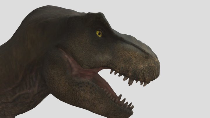Rexy 3D models - Sketchfab