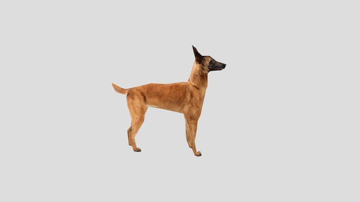 Dog – Free 3D Model STL