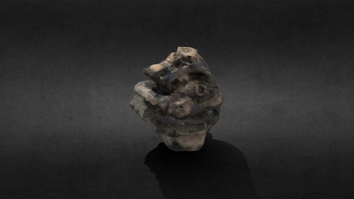 Fossil Rock 3D Model