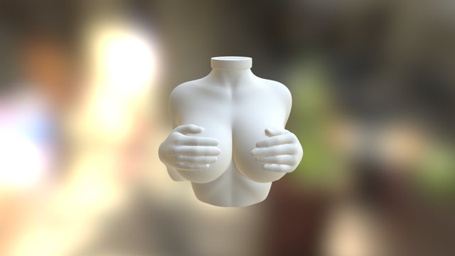 model implants 3D Model