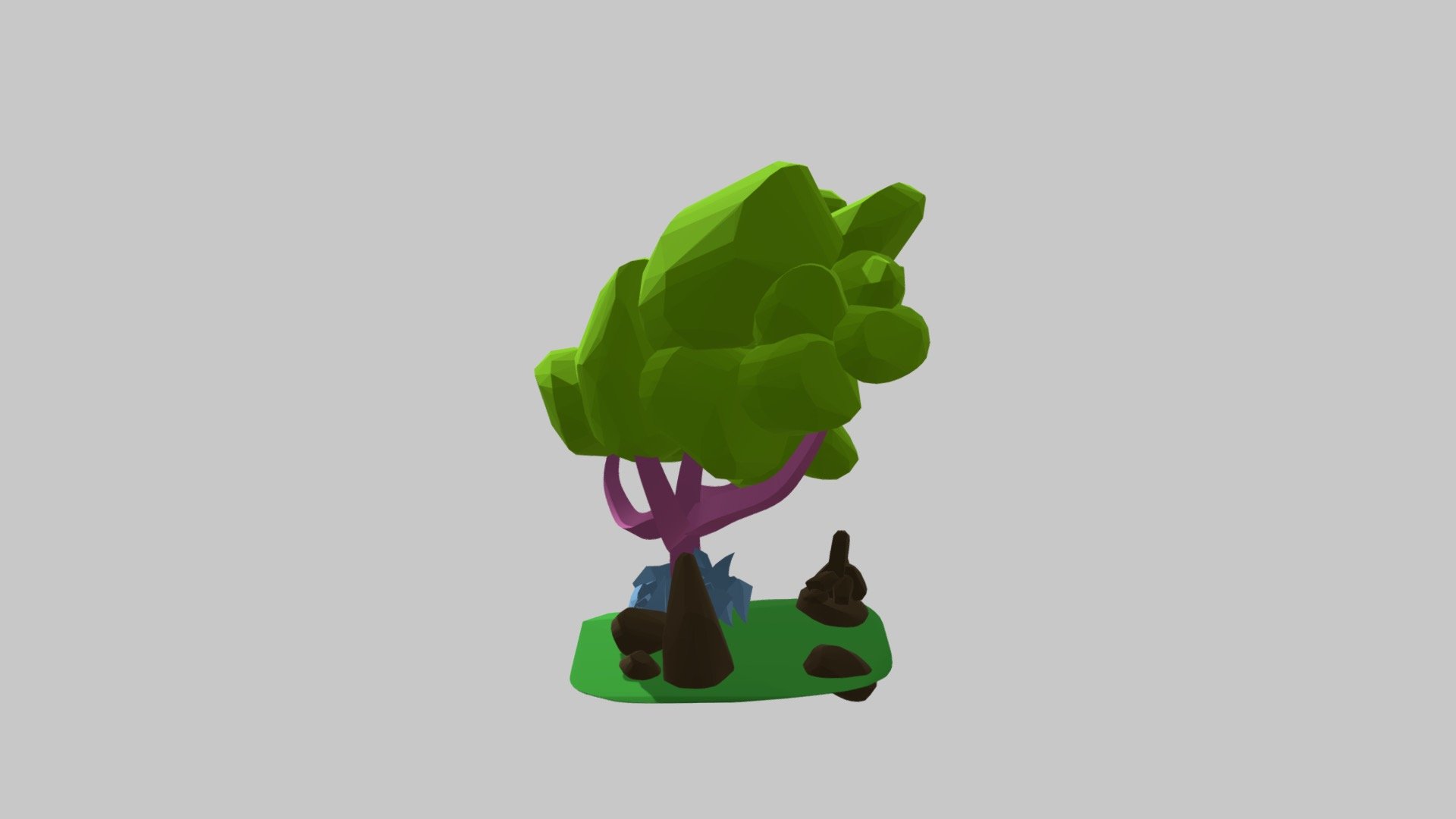 My first tree