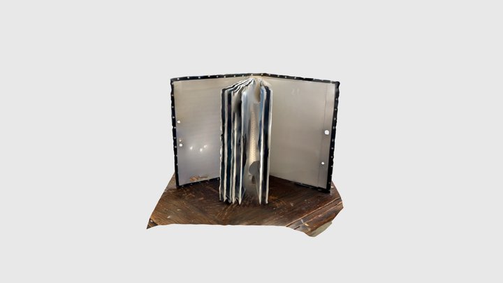 Ryan Photo Book 3D Model