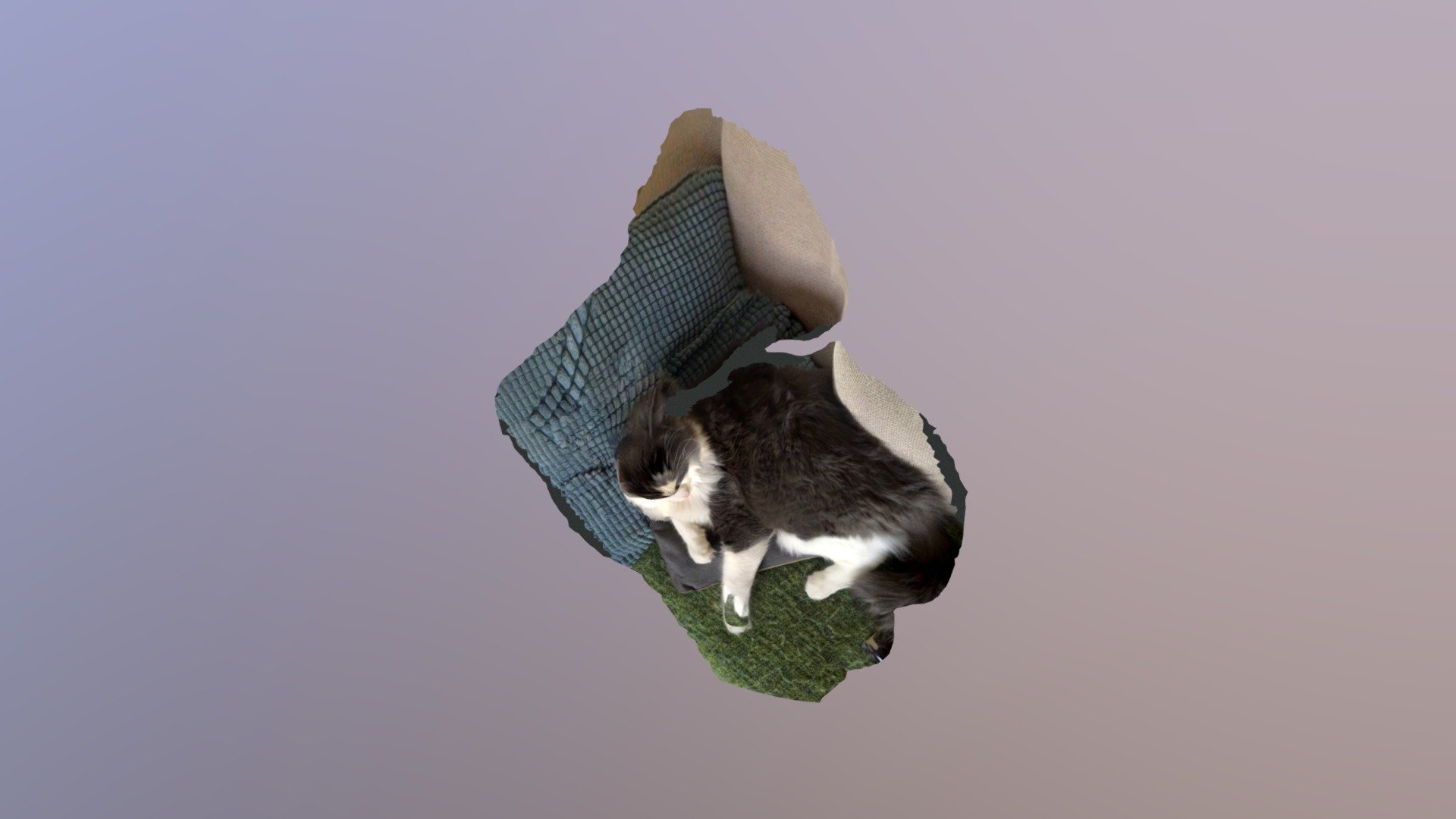cat-scan