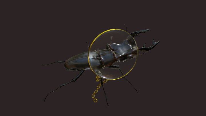 Stag Beetle 3D Model