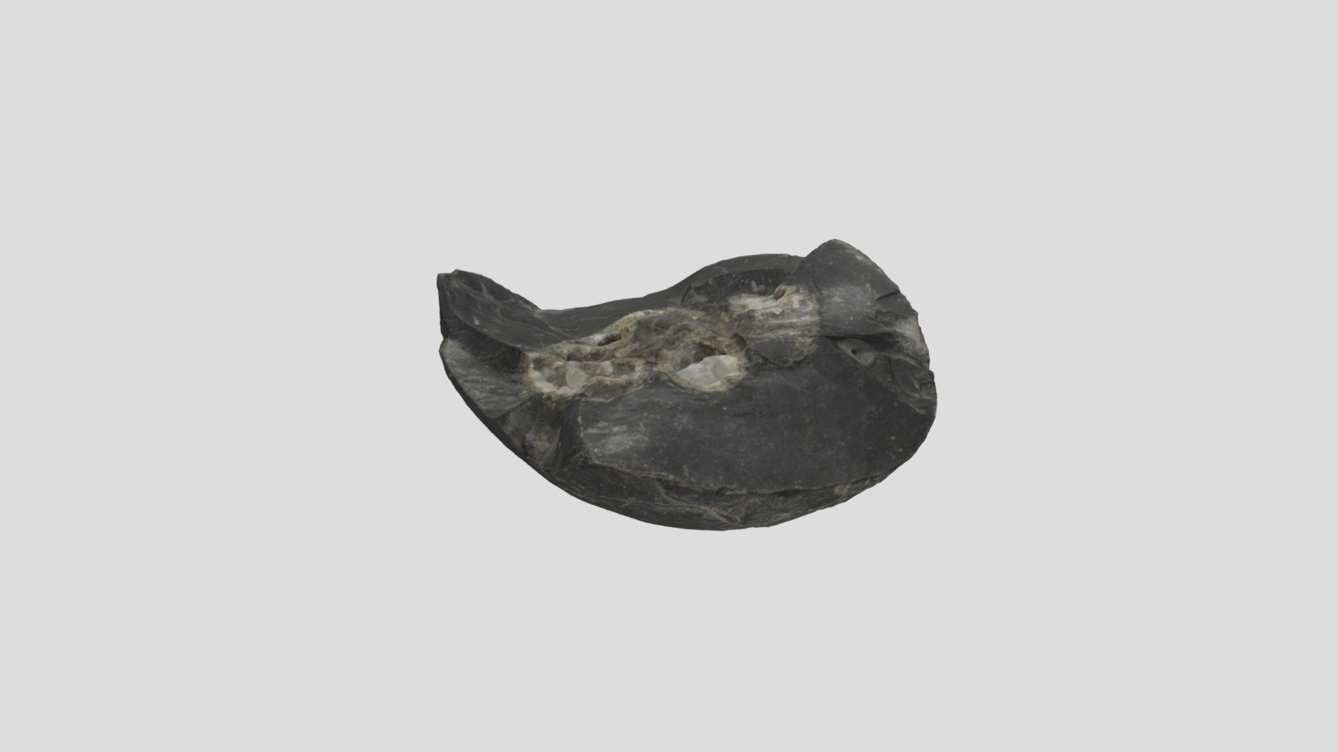 Conc-1