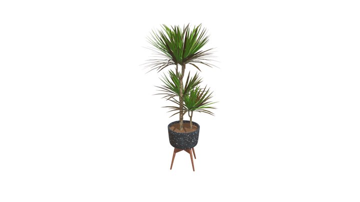 Plant in pot 002 Full Version 3D Model