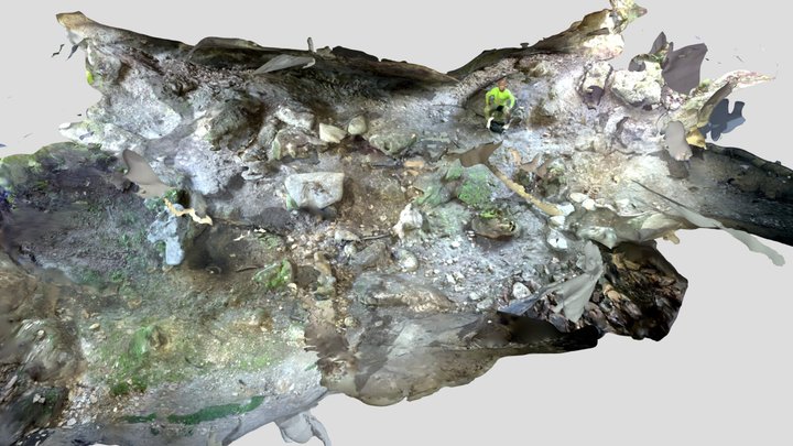 Alamo Cave 3D Model