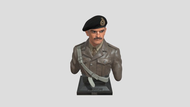 Portrait of a Military Officer 3D Model