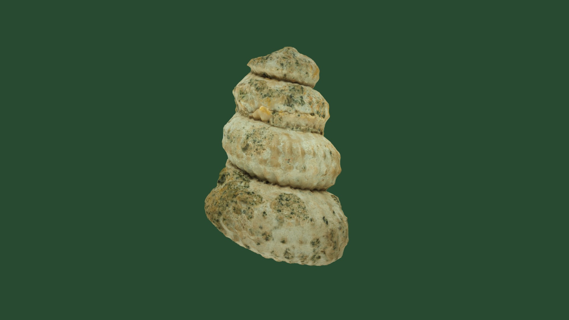3D model Turrilites bergeri 10070 - This is a 3D model of the Turrilites bergeri 10070. The 3D model is about a stack of rocks.