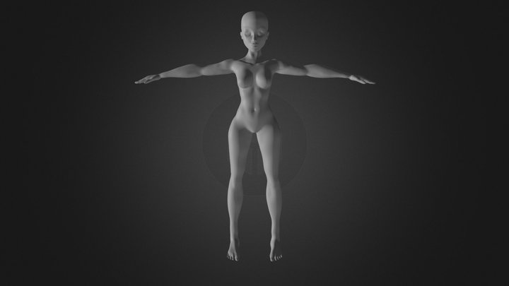 Female Anatomy WIP 3D Model