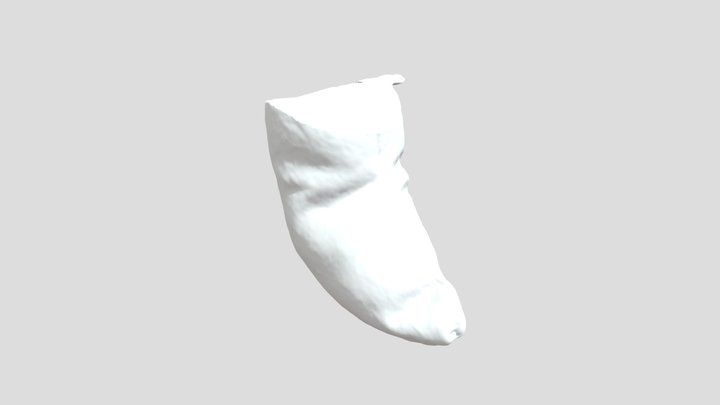 Pillowy Slug 3D Model