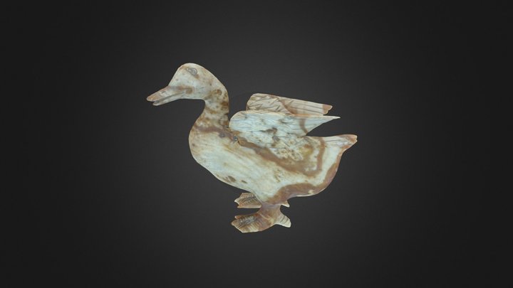 Duck Bill 3D Model