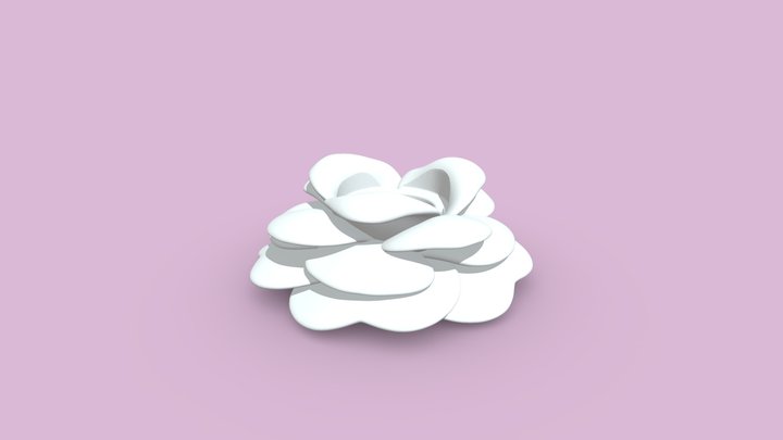 Camellia 2 3D Model