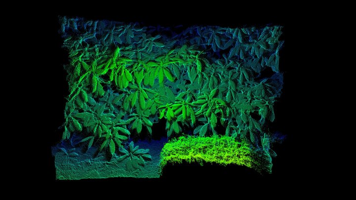 Helios2 Ray - Outdoor Plants, Full Sunlight – Free 3D Model STL