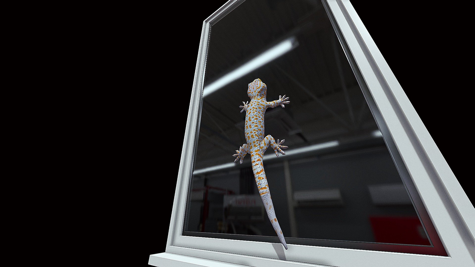 Model 48- Tokay Gecko - Animation