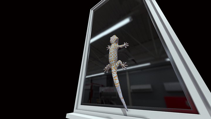 Model 48 - Tokay Gecko Climbing Animation – Modelo 3D gratuito STL