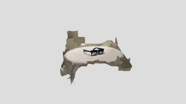 Test_Capture_Sunglasses 3D Model