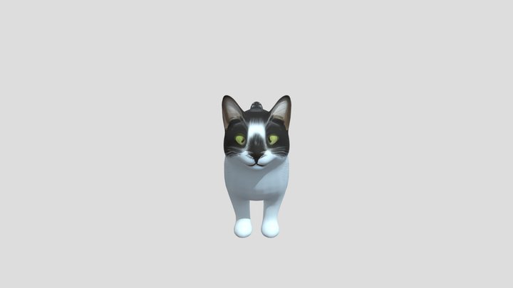 Black and white cat 3D Model