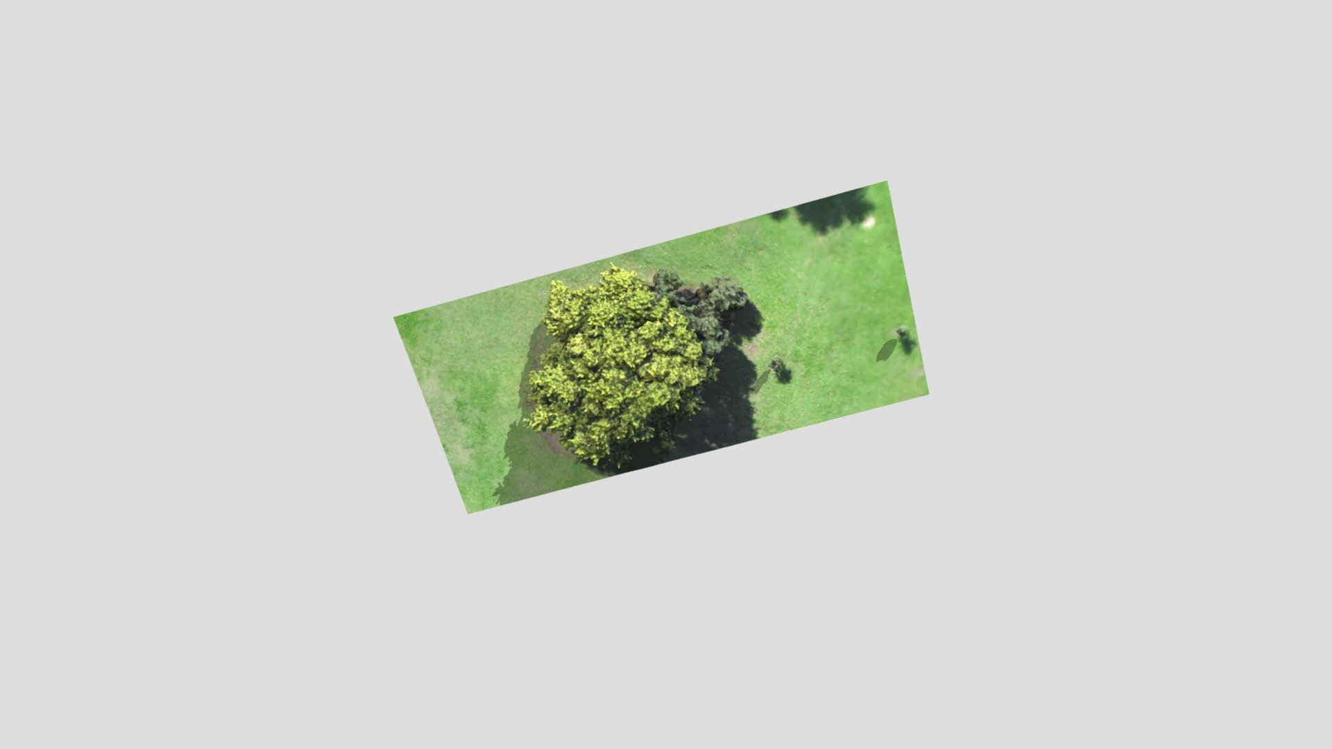 3D Model
